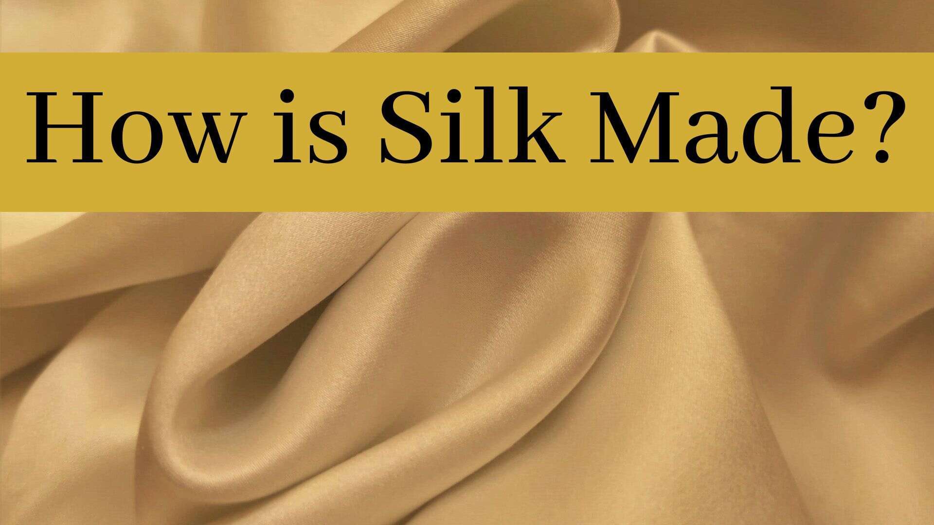 How is Silk Made 7 Steps 1000 Kingdoms